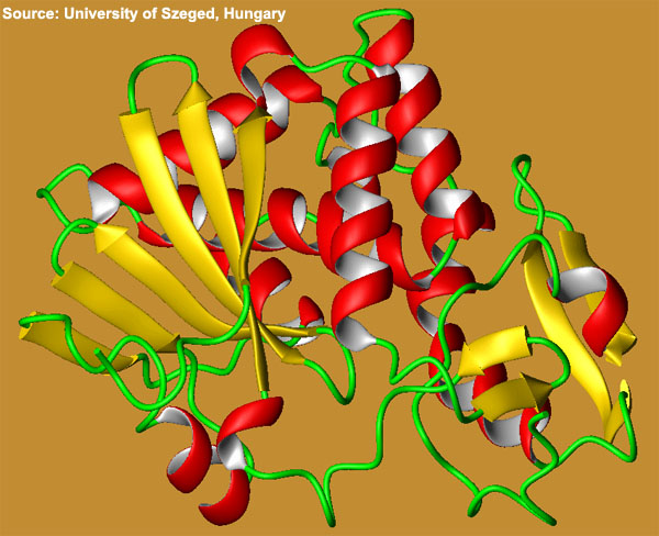 Overview — Ricin toxin — Biological — Nuclear/Biological/Chemical ...